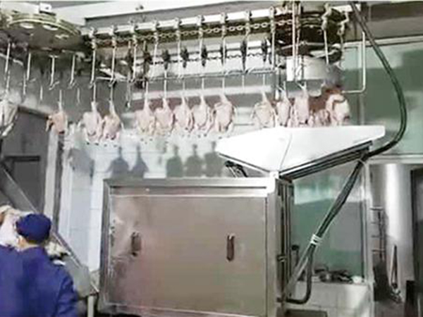 分选秤厂家：称重机和分选秤之间的区别不是一星半点！