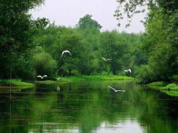 迎来了12月中旬的竞技游戏团建