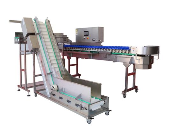 莱西果园订购我司分级秤即将发货