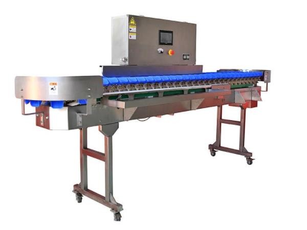 明焱分级秤今天发货胶州